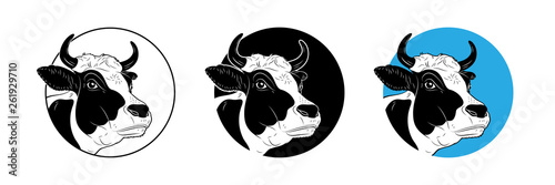 Cow calf bull’s head isolated on white background. Cattle logo. Butchery sign. 