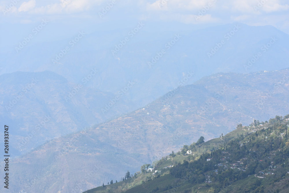 Fototapeta premium Natural Pic