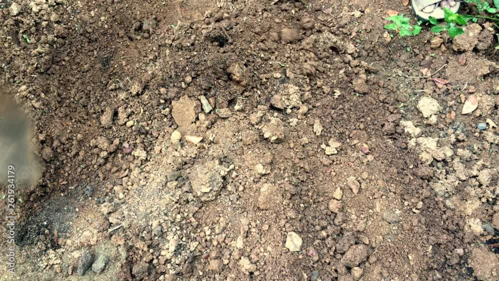 Preparing soil for cultivation 