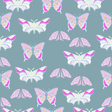 Beautiful colorful tropical butterflies on Seamless background.   Fabric, wallpaper, bedding design.Vector illustration