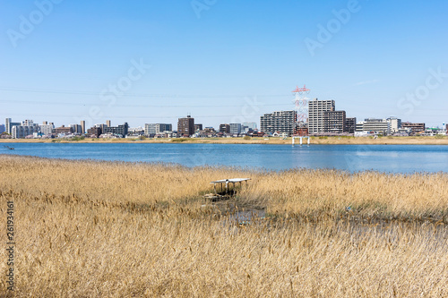 多摩川の風景　川崎　太田 photo