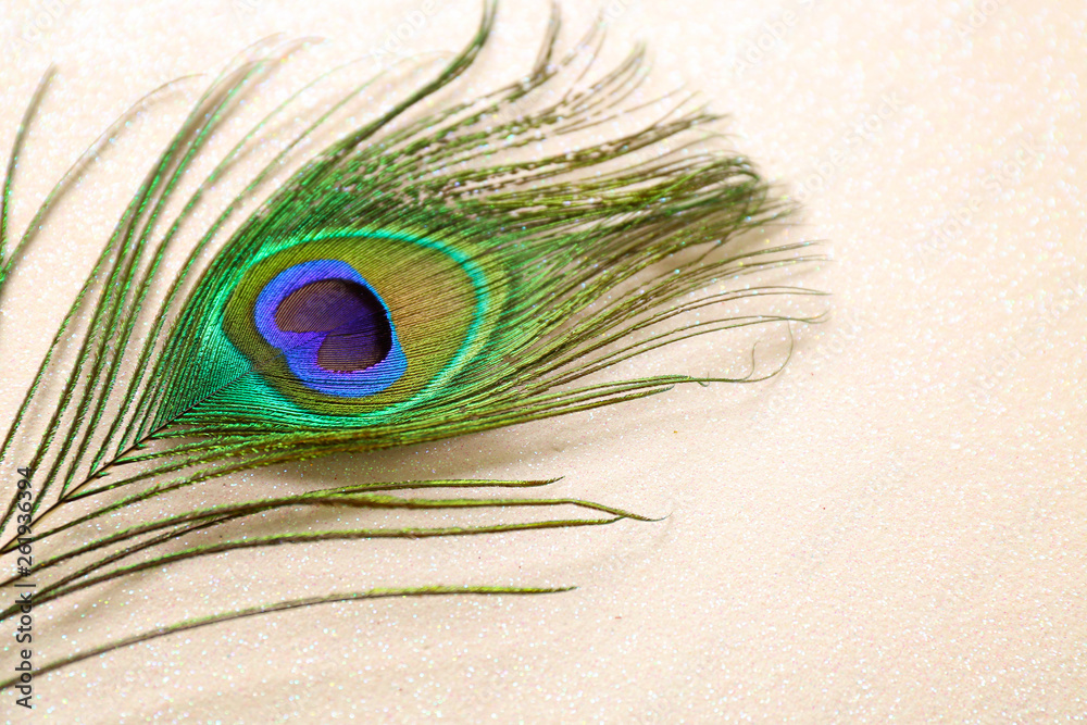 Fototapeta premium Bright peacock feather on light background