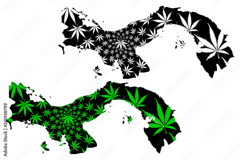 Panama - map is designed cannabis leaf green and black, Republic of Panama map made of marijuana (marihuana,THC) foliage, Panama - map is designed cannabis leaf green and black, Republic of Panama map made of marijuana (marihuana,THC) foliage,