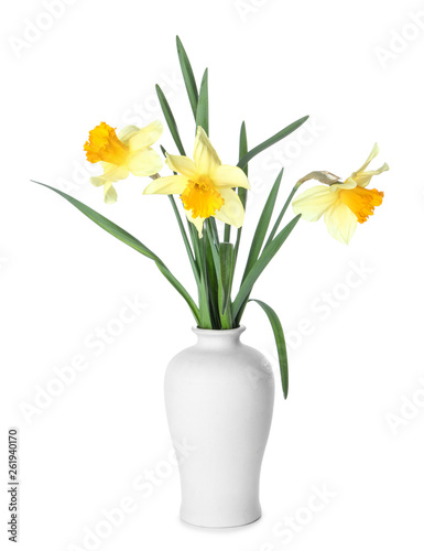 Fototapeta Naklejka Na Ścianę i Meble -  Vase with beautiful daffodils on white background