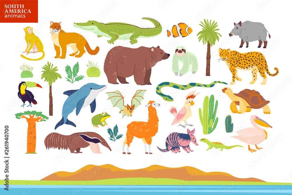 Obraz premium Vector flat illustration of South America animals, landscape, plants: crocodile, bear, anaconda, anteater, monkey, toucan palm tree, oak, cactus. Good for infographics, children book, alphabet, banner