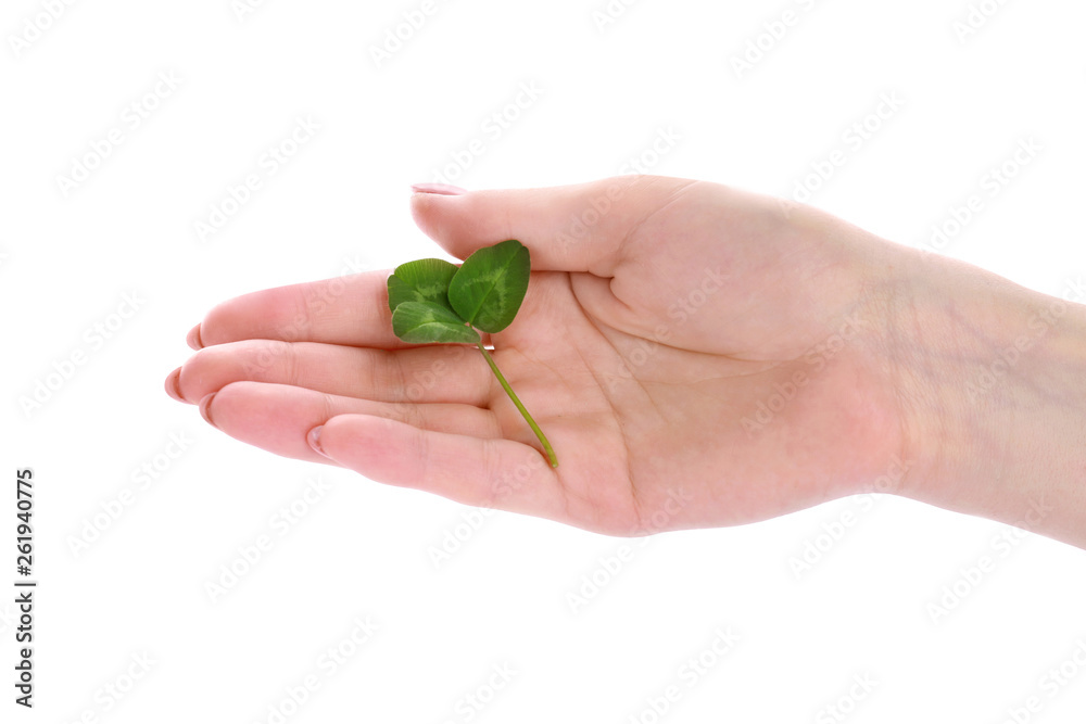 Female hand with fresh green clover on white background Female hand with fresh green clover on white background