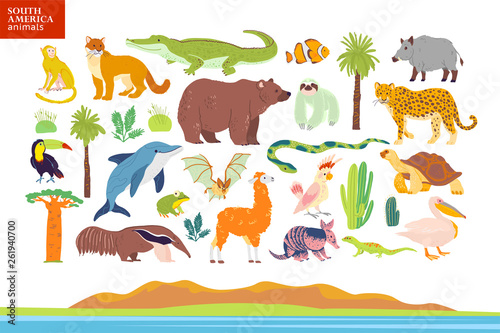 Vector flat illustration of South America animals  landscape  plants  crocodile  bear  anaconda  anteater  monkey  toucan palm tree  oak  cactus. Good for infographics  children book  alphabet  banner