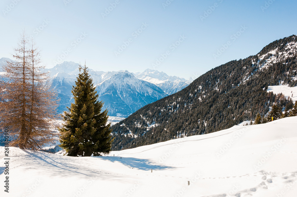 Riederalp, Wallis, Alpen, Walliser Berge, Matterhorn, Winter, Wintersport, Schweiz