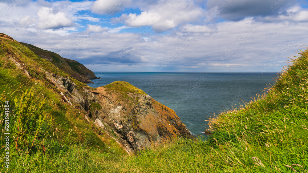 Green summer seascape of the beautiful Irish Coast with sheer cliffs covered in tall grass. Windy day on the Howth Cliff Walk in Co. Dublin, Ireland. 