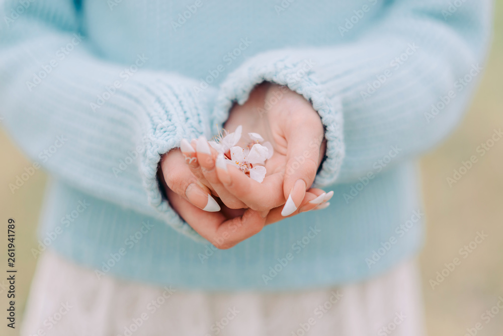 White bloom in woman's hands with french manicure. White bloom in woman's hands with french manicure.