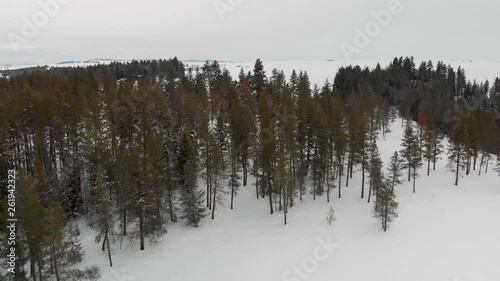 Drone Aerial of Winter Lanscape in Washington State USA With Snowy Hills and Evegreen Forests photo