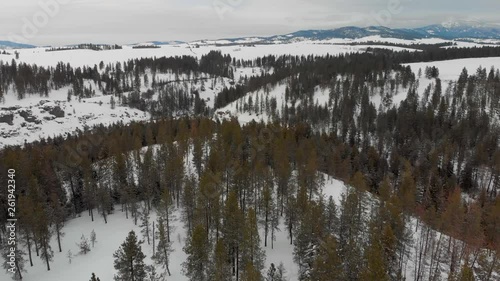 Drone Winter Landscape Aerial Flying Over Evergreen Forest and Snowy Hills in Washington State USA 4k photo