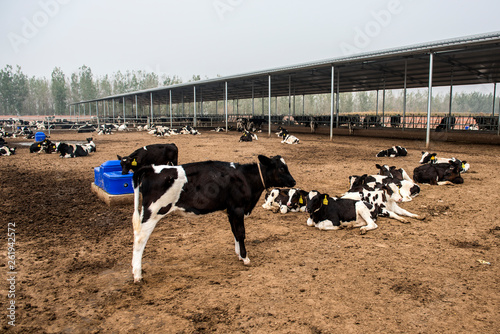 Dairy farm equipment and farmed milk