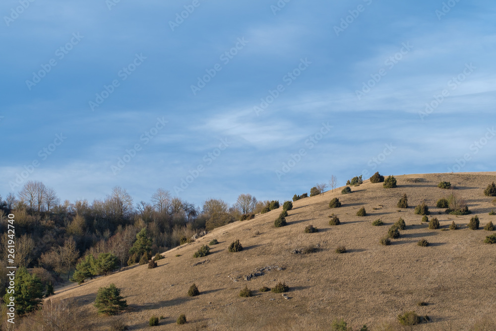 Fototapeta premium Trockenwiese Landschaft