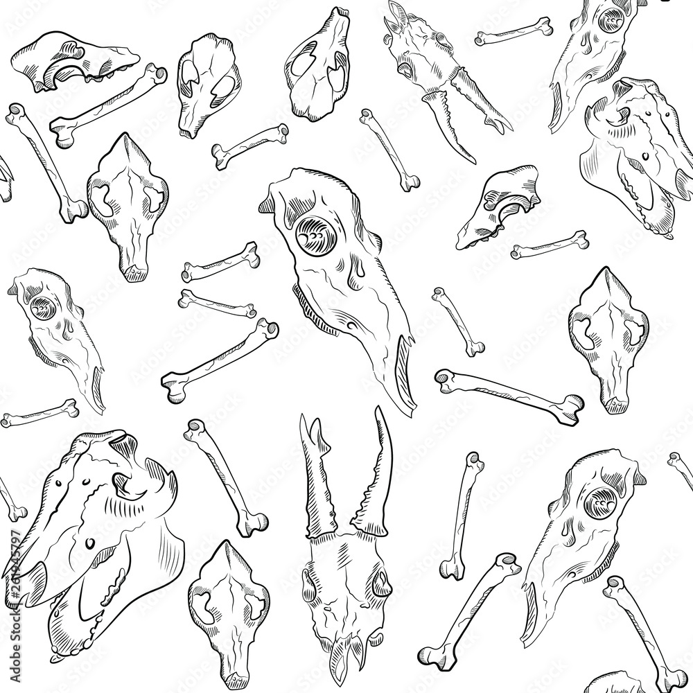 Realistic skulls of animals. Seamless Pattern in white