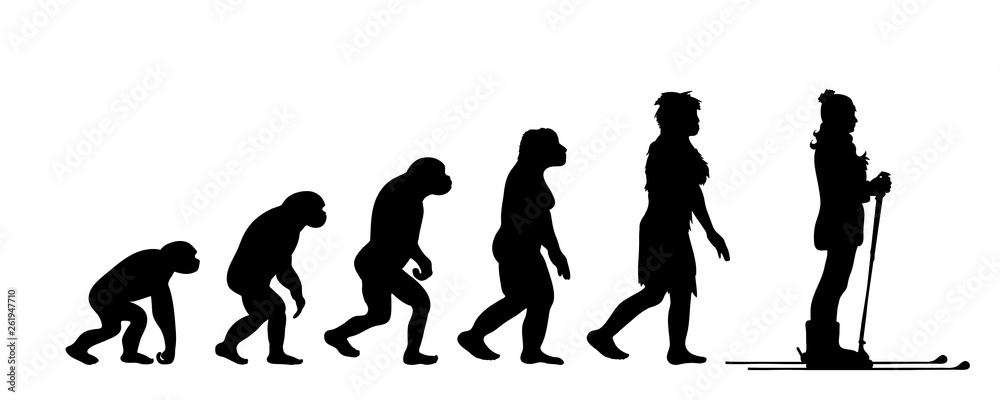 Painted theory of evolution of woman. Vector silhouette of homo sapiens. Symbol from monkey to skier. Painted theory of evolution of woman. Vector silhouette of homo sapiens. Symbol from monkey to skier.