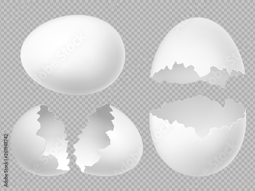 Vector realistic white eggs set with whole and broken eggs isolated on transparent background. Illustration of eggshell, shell from broken egg