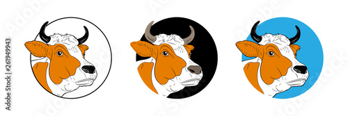 Cow calf bull’s head isolated on white background. Cattle logo. Butchery sign. 