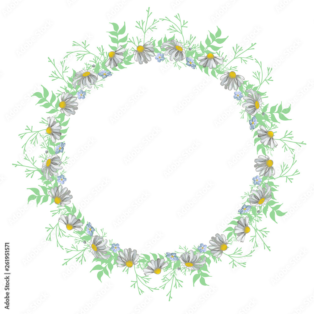 Summer decorative wreath of green leaves and daisy flowers, myosotis. Isolated object on white background.Hand drawn.Vector illustration.