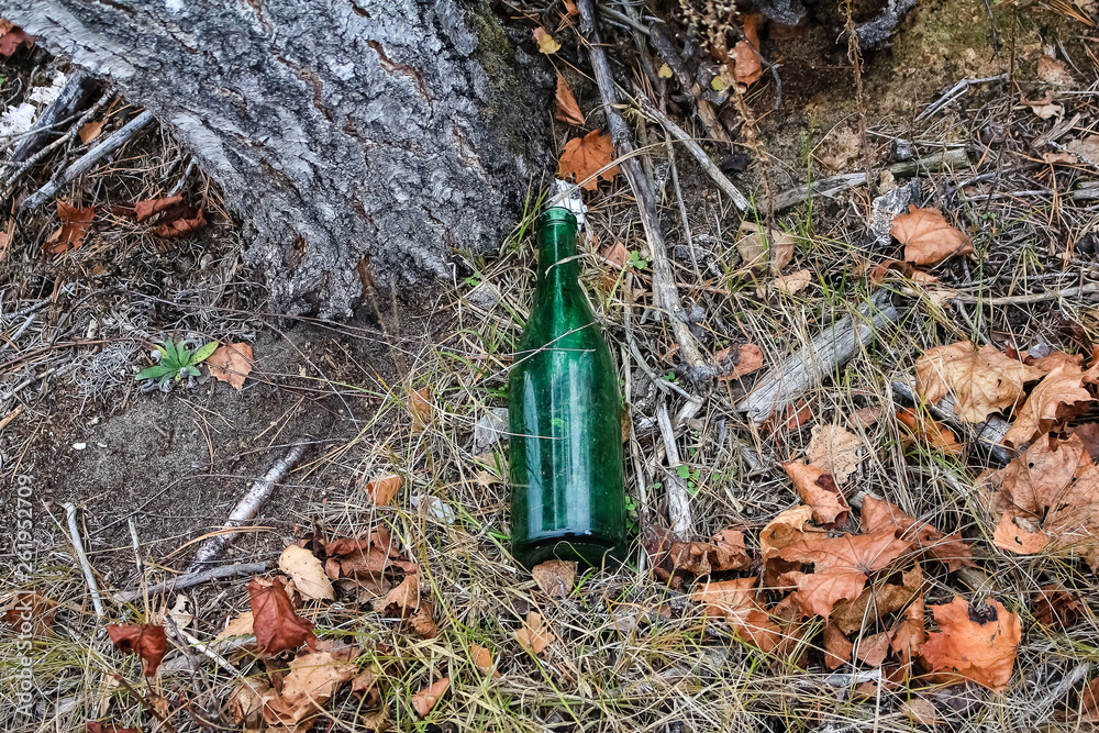 Fototapeta premium Garbage in the forest. Glass, green bottle lying in the woods, among the branches and grass