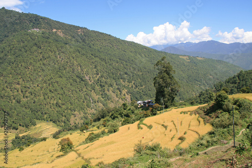 Bhutanese landscapes 