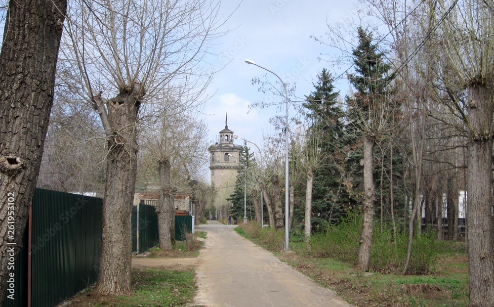 alley in park