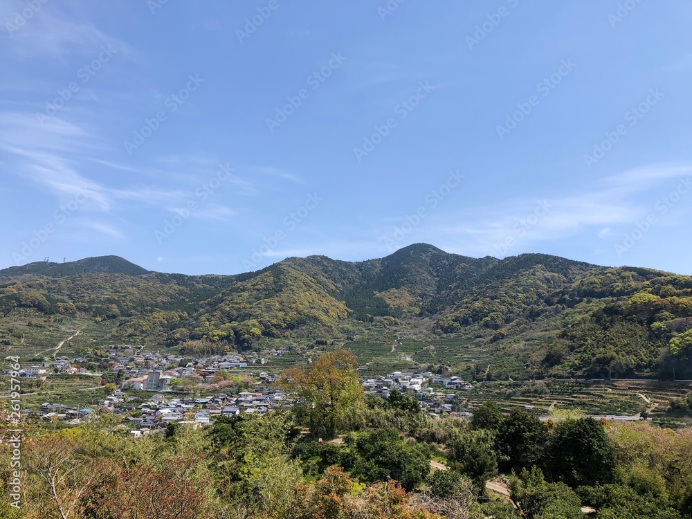 見事な景色