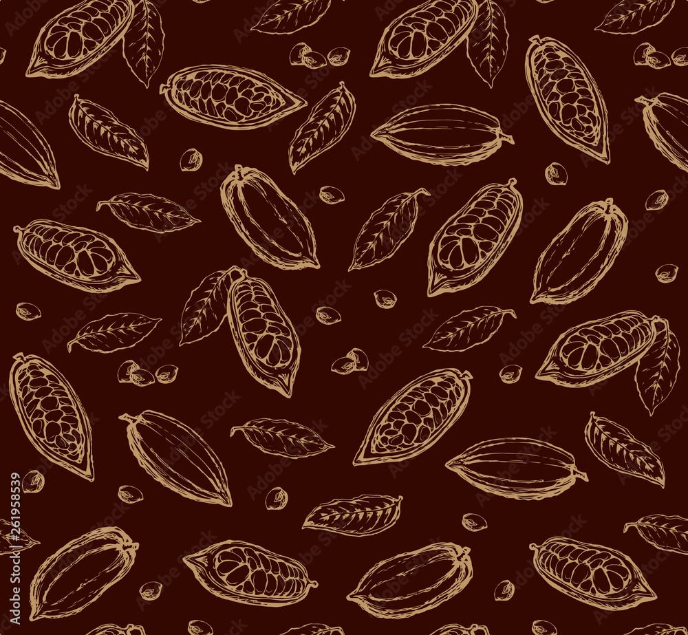 Cocoa Fruits. Vector drawing