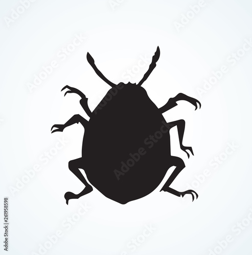 Colorado beetle. Vector drawing