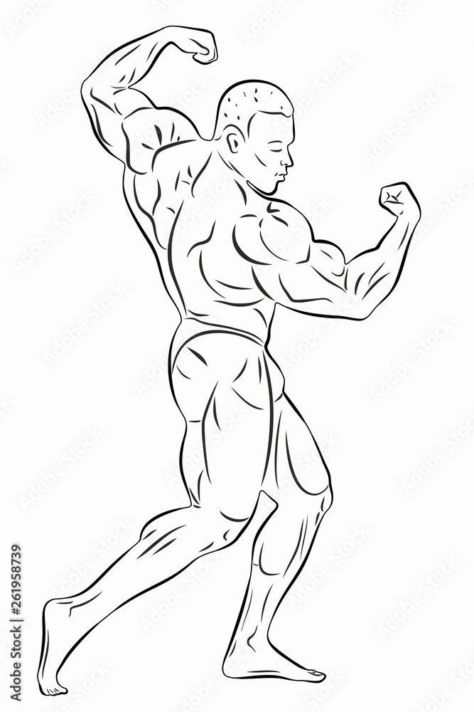 Illustration Of Bodybuilder , Vector Drawing Stock Vector | Adobe Stock