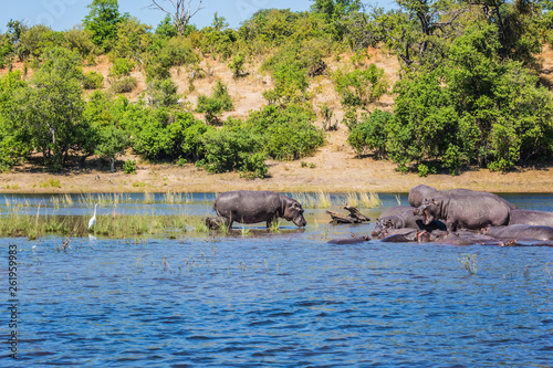  The extreme tourism in Okavango Delta