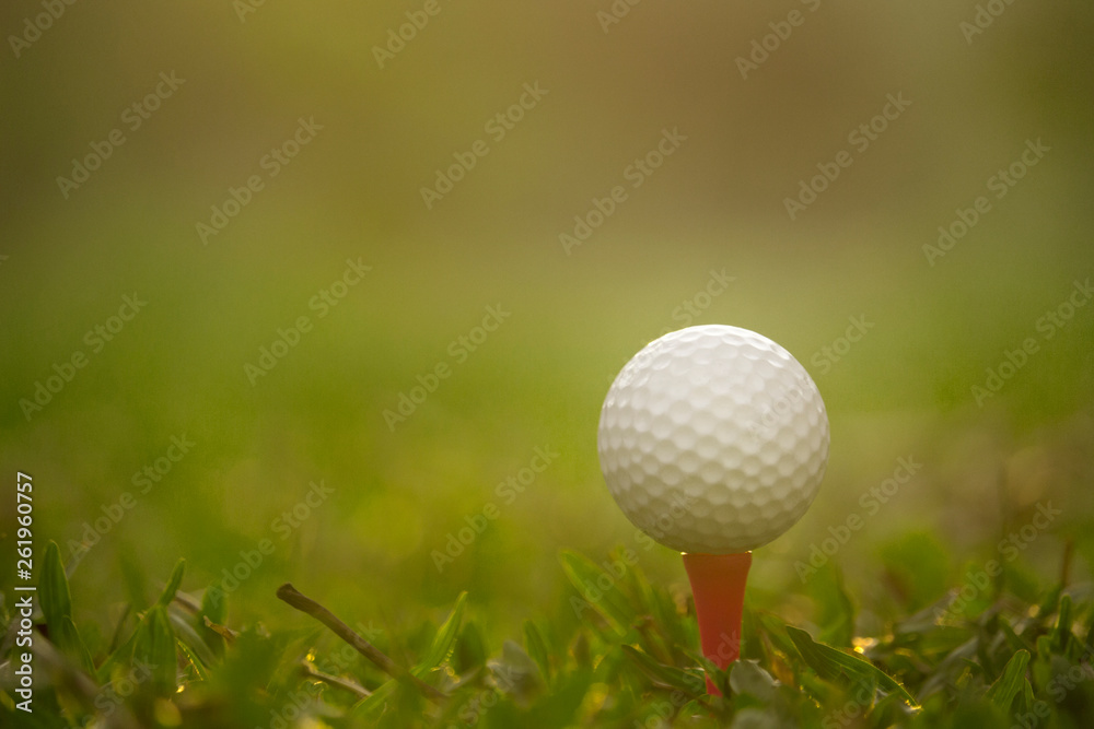 golf ball on tee in a beautiful golf course with morning sunshine golf ball on tee in a beautiful golf course with morning sunshine