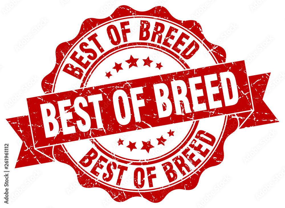 Fototapeta premium best of breed stamp. sign. seal
