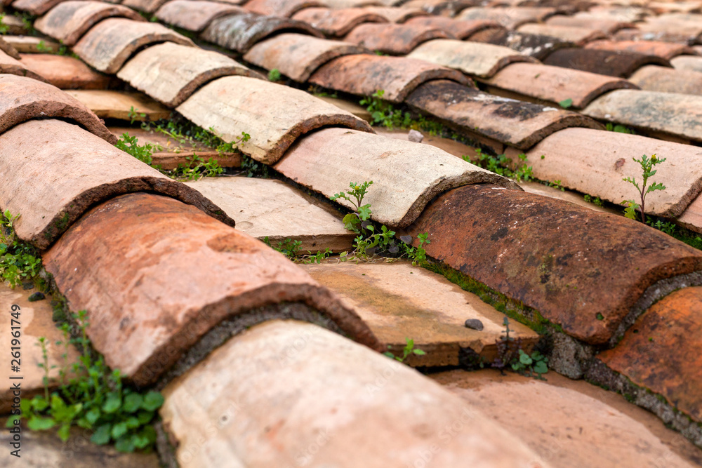 Tiled roof close up Tiled roof close up