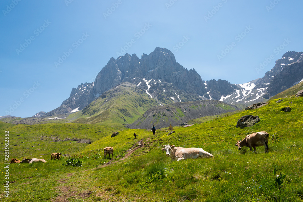 Kazbegi, Georgia - Jul 03 2018: Juta valley near Caucasus mountain. a famous landscape in Kazbegi, Mtskheta-Mtianeti, Georgia.