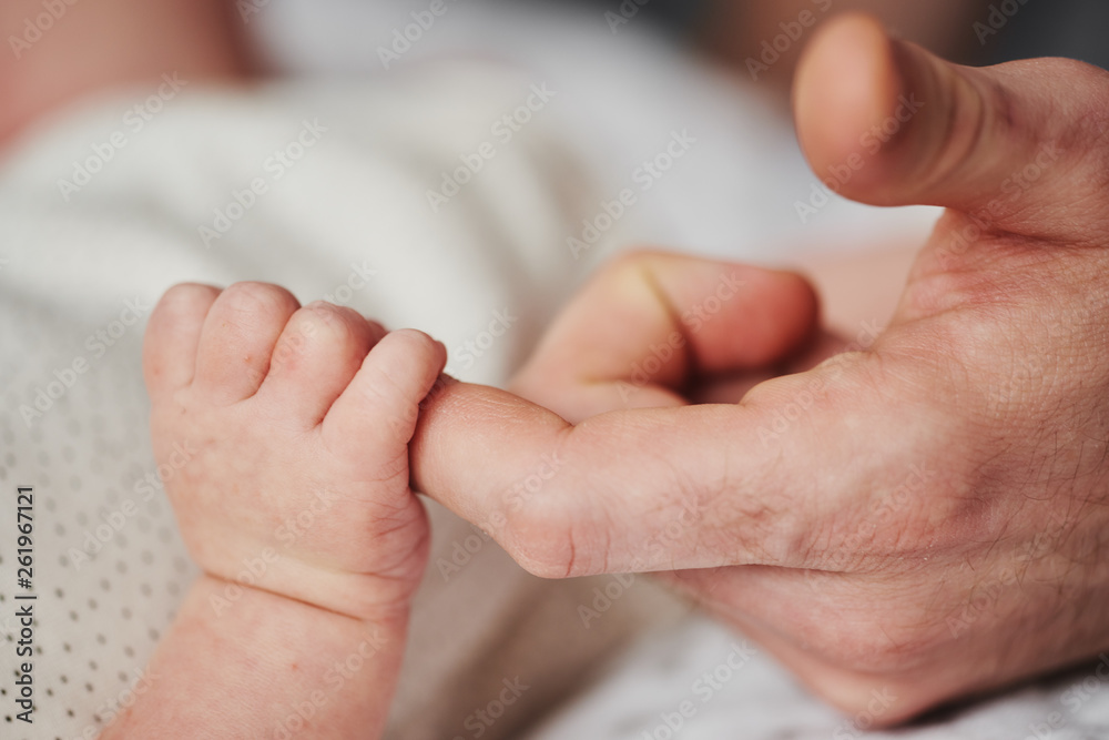 The little hand of the baby holds the finger of its parents. The little hand of the baby holds the finger of its parents.