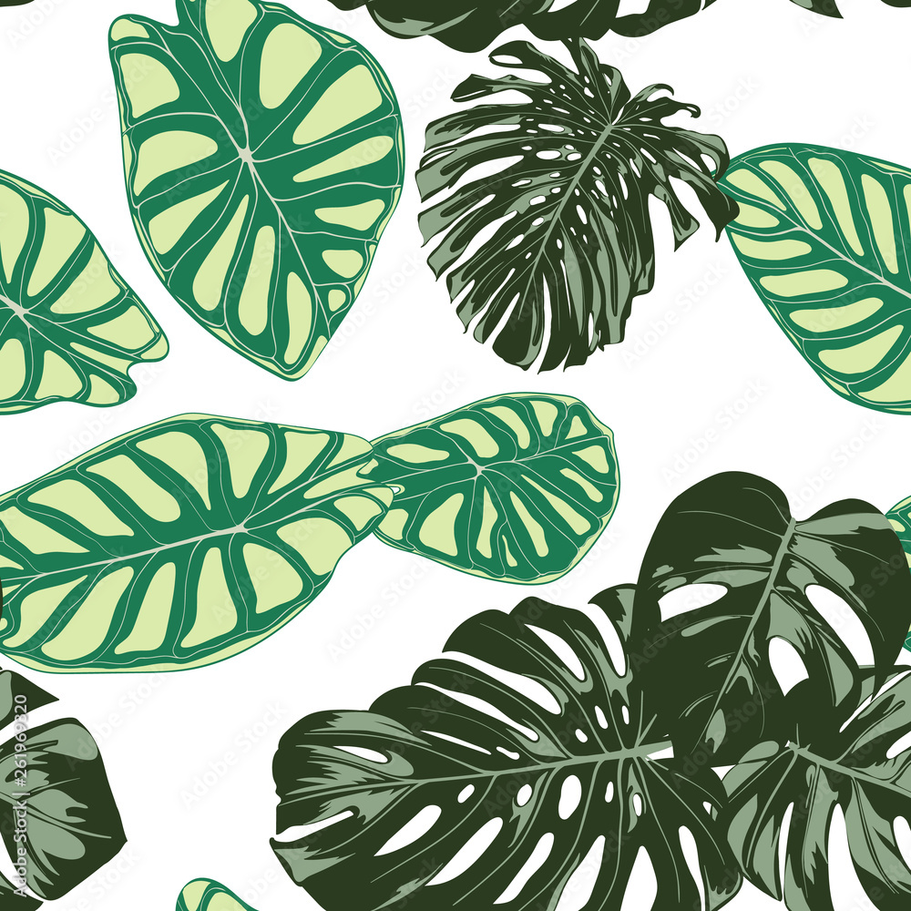 Fototapeta Seamless Exotic Pattern with Tropical Plants. Vector Background with Hand Draw Monstera Palm Leaves. Bright Rapport for Cloth, Textile Design. Jungle Foliage. Seamless Tropical Pattern with Alocasia.
