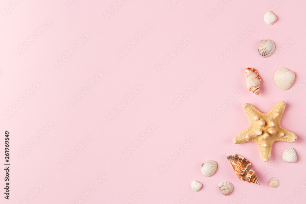 Seashells and starfish on a pale pink background. Summer time concept. Top view