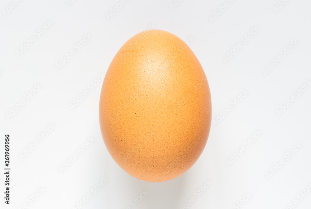 Chicken egg on white background Chicken egg on white background