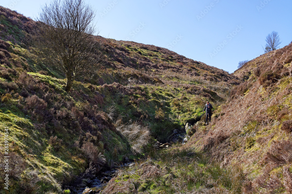 Springtime view of the stream in the mountains of Snowdonia.