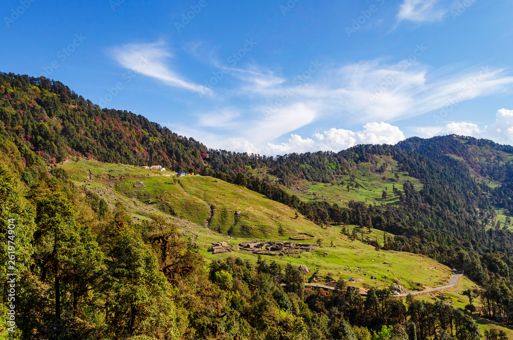 Grassland of Chopta, Garhwal, Uttarakhand, India. Grassland of Chopta, Garhwal, Uttarakhand, India.