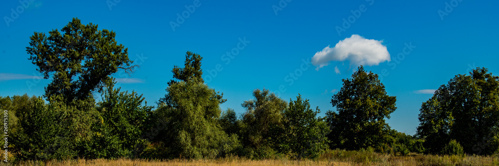 White cloud landscape with deciduous forest and meadow on a sunny day.Web banner. White cloud landscape with deciduous forest and meadow on a sunny day.Web banner.