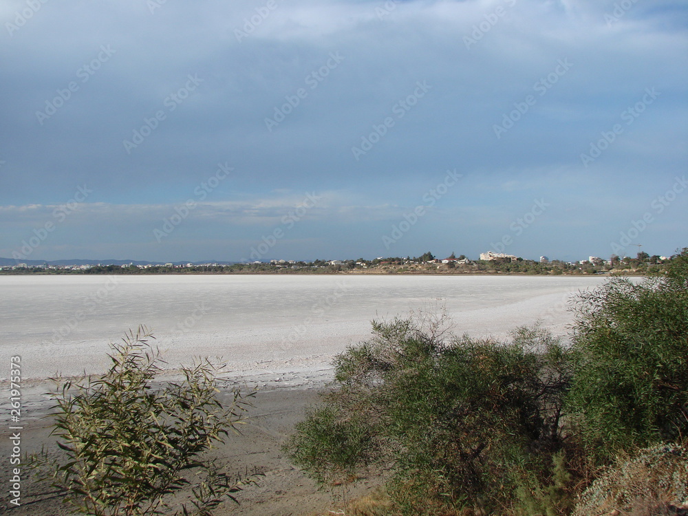 Landscape of dried salted lake under the rays of the evening sun against the background of the cloudy sky.
