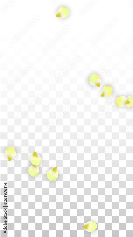 Vector Realistic Pink Petals Falling on Transparent Background. Spring Romantic Flowers Illustration. Flying Petals. Sakura Spa Design. Blossom Confetti. Vector Realistic Pink Petals Falling on Transparent Background. Spring Romantic Flowers Illustration. Flying Petals. Sakura Spa Design. Blossom Confetti.