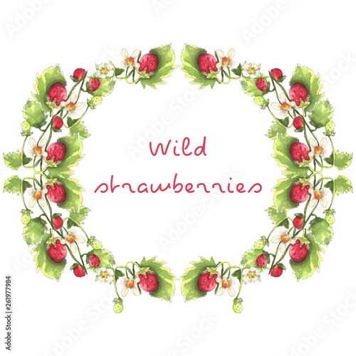 Fototapeta Naklejka Na Ścianę i Meble -  Wild strawberry wreath