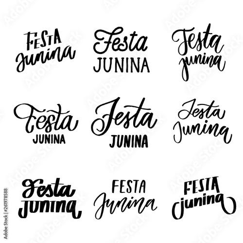 festa junina - set of lettering inscriptions vector.