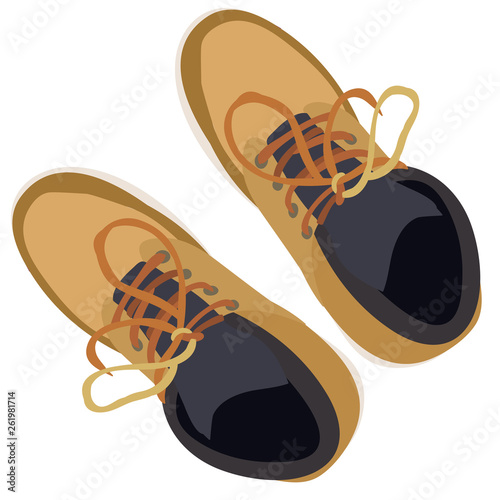 men's shoes with laces, top view, isolated, vector