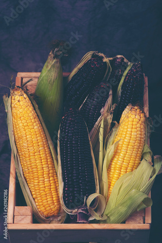 variety organic corn for food