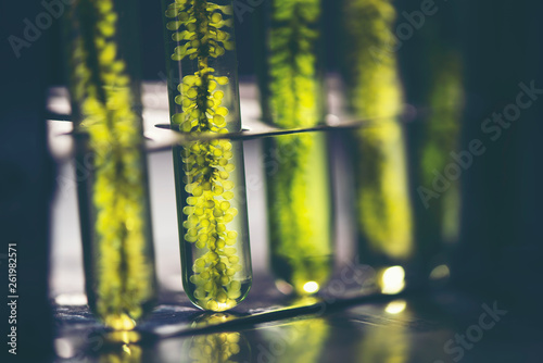 Canvastavla The scientist test the natural product extract, oil and biofuel solution, in the