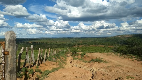 brazil - cerrado